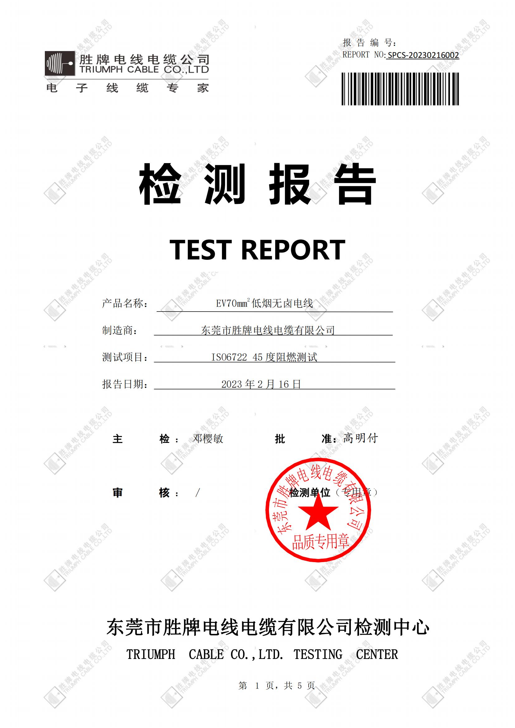 EV70mm2 ISO6722 45度阻燃测试_01.jpg