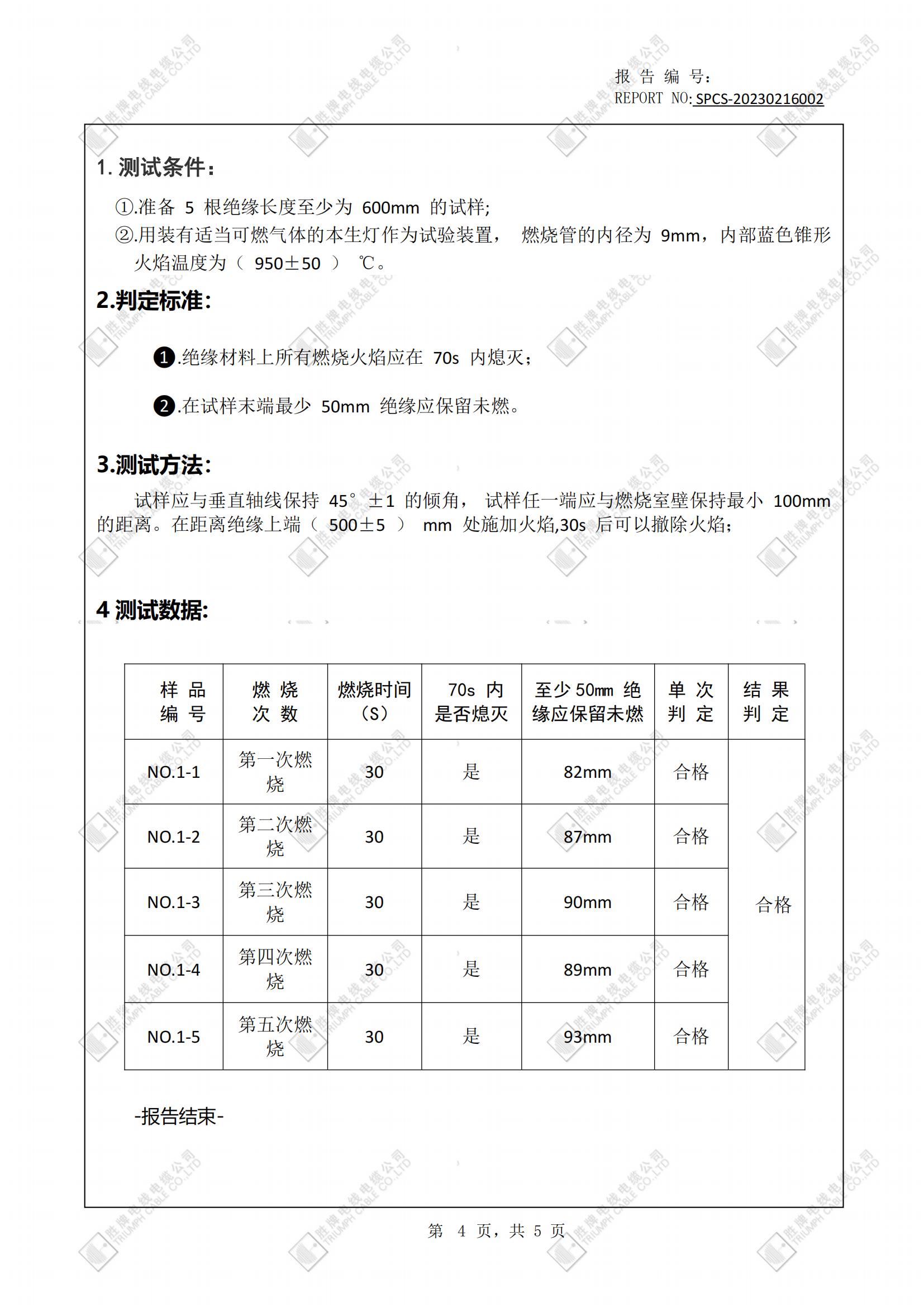 EV70mm2 ISO6722 45度阻燃测试_04.jpg