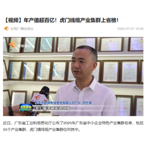 What is Triumph Cable factory?‌