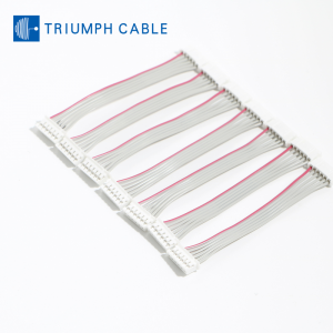 PH2.0 6P Dual-Head Gray Ribbon