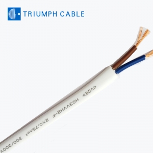 Flexible 2 Core H03VVH2-F VDE 